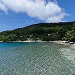 Franka 4*
