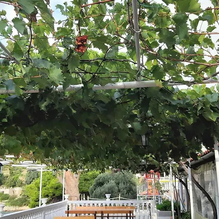 Franka בית הארחה ספלונרה