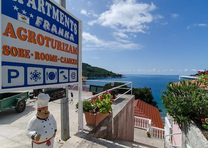 Franka Гостевой дом Саплунара