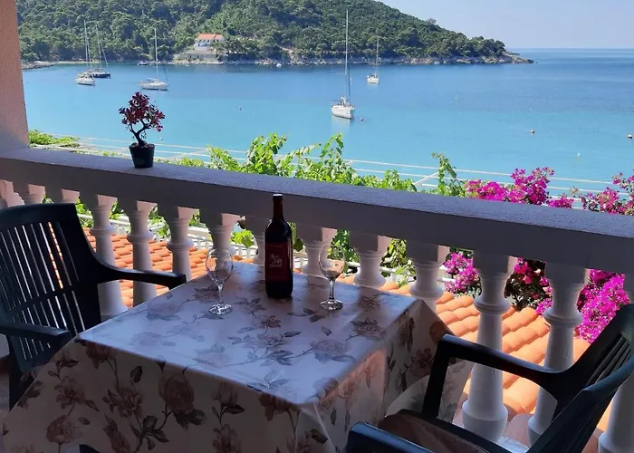 Franka Гостевой дом Саплунара