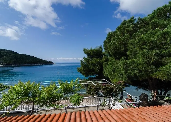 Гостевой дом Franka 4*